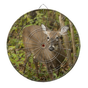 Jeu De Fléchettes White Tailed