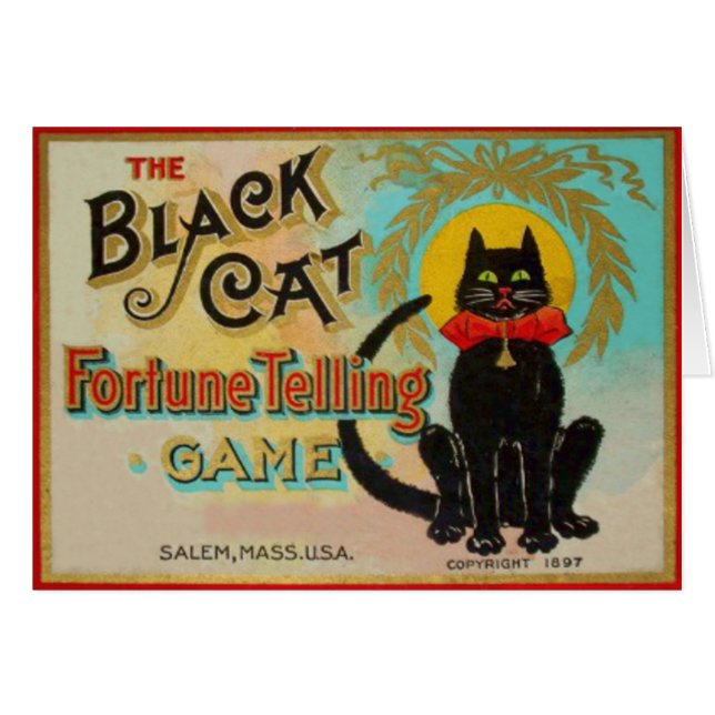 Jeu de narration Fortune Chat Noir (Devant horizontal)