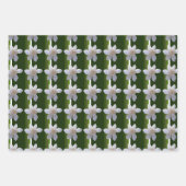 Jeu de papier d'emballage - Gardenias (Devant 2)