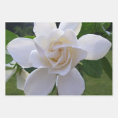 Jeu de papier d'emballage - Gardenias (Devant)