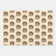 Jeu de papier d'enveloppement vintage pour chats d
