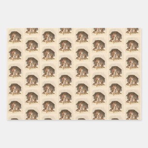 Jeu de papier d'enveloppement vintage pour chats d