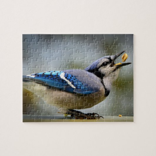 Jeu de puzzle Geai bleu (Horizontal)