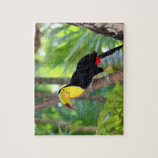 Jeu Puzzle Oiseau tropical (Vertical)