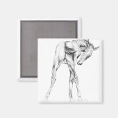 Jeuk Magneet (Voorkant / Achterkant)