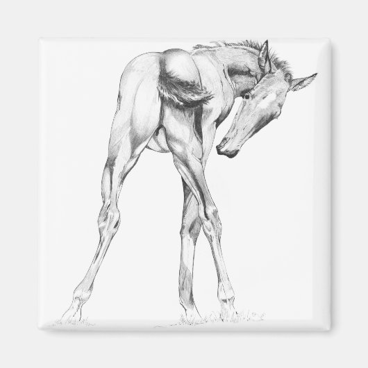 Jeuk Magneet (Voorkant)