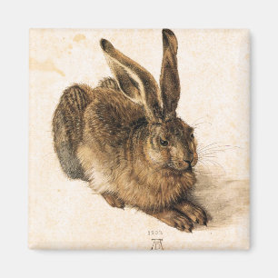 Jeune aimant de lièvres d'Albrecht Durer