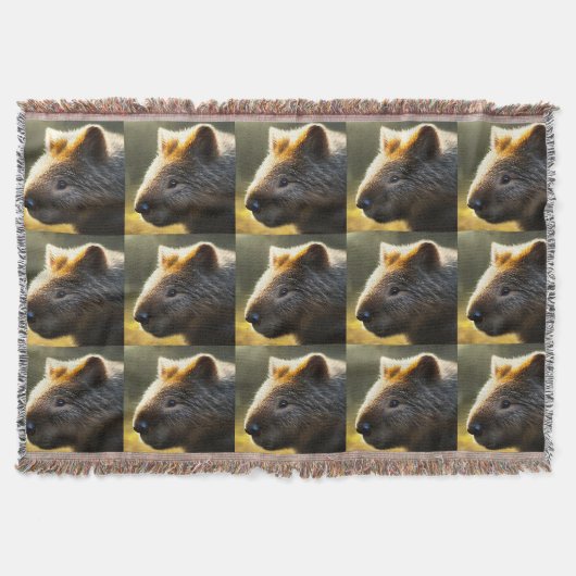 Jeune Australien Wombat, Jeu de couverture (Devant)