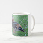 Jeune canard mandarin Mug (Devant droit)