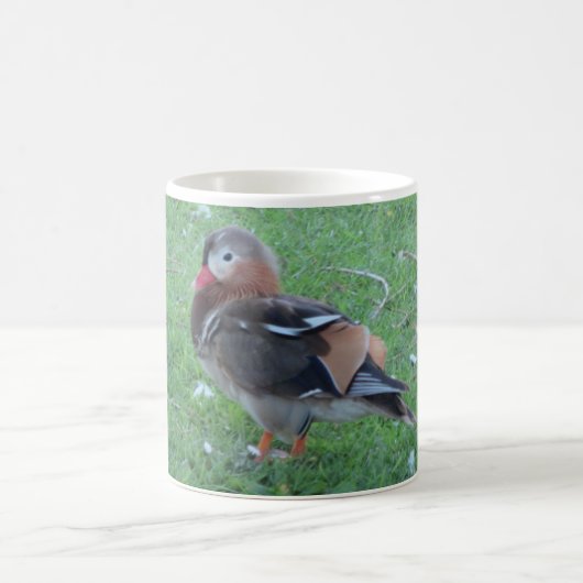 Jeune canard mandarin Mug (Centre)
