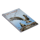 Jeune carnet de Bens de faucons d'Ospreys (Côté Droit)