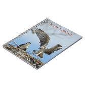 Jeune carnet de Bens de faucons d'Ospreys (Côté gauche)
