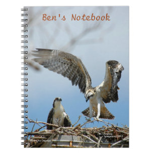 Jeune carnet de Bens de faucons d'Ospreys