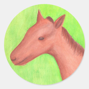 Jeune cheval, poney, en Stickers aquarelle