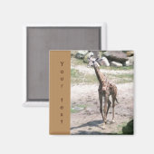 Jeune Giraffe Marcher Votre Texte Magnets (Recto/Verso)