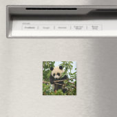 Jeune panda géant - aimant (In Situ (Lave-vaisselle))