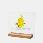 Jeune poisson-coffre jaune (Angle)