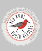 Jeune Sweat - shirt à capuche avec logo rouge (Collier)