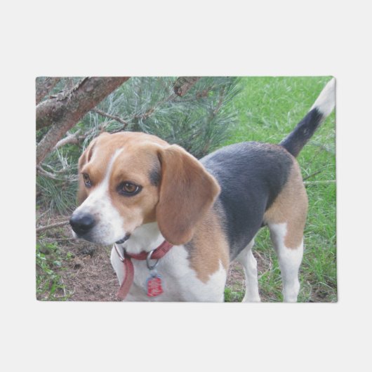 Jeune tapis de porte de chien de beagle (Devant)