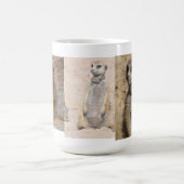 Jeune tasse de Meerkat (Centre)
