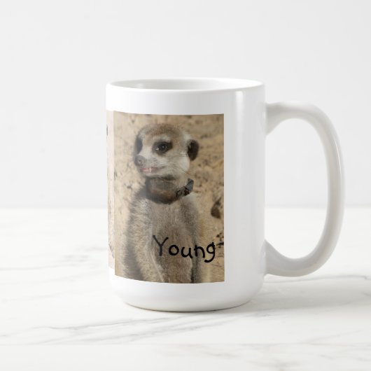 Jeune tasse de Meerkat (Droite)