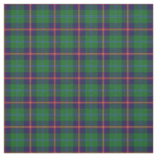 Jeune tissu écossais de plaid de tartan de clan