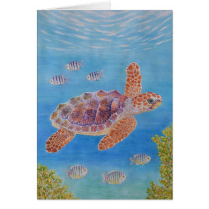 Jeune tortue marine caouanne