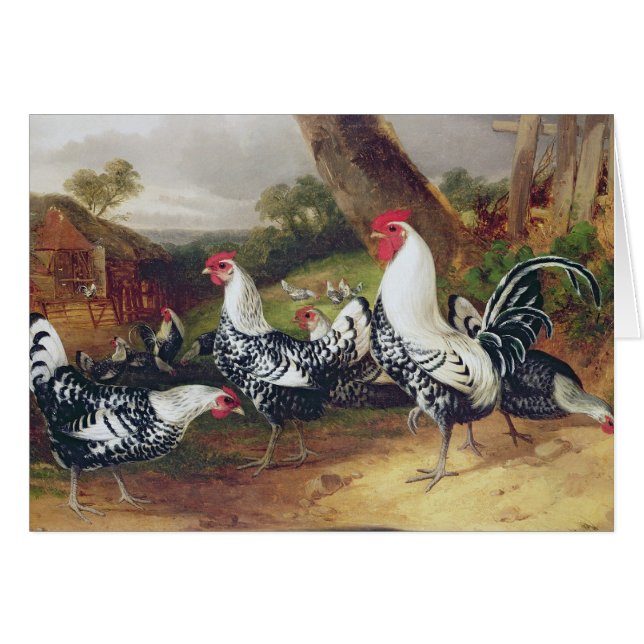 Jeunes coqs dans un paysage (Devant horizontal)