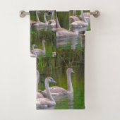 Jeunes cygnes (En situation)