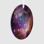 Jeunes Étoiles Dans Le Petit Nuage Magellanique. (devant)