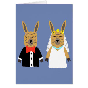 Jeunes mariés mignons de lama