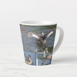 Jeunes Oiseaux Grebe Conception Latte Mug