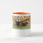 Jeunes poules heureuses dans leur nouvelle tasse (Centre)