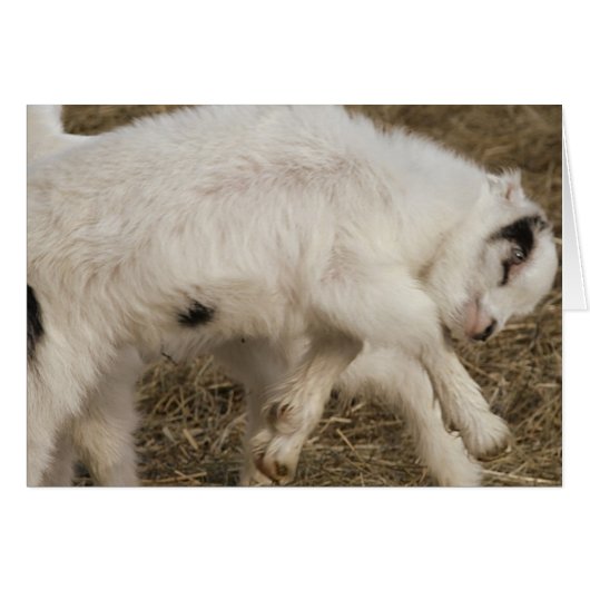 Jeux Amigo (Devant horizontal)