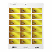 Jewel-Covered Gingerbrood House Etiket (Full Sheet)