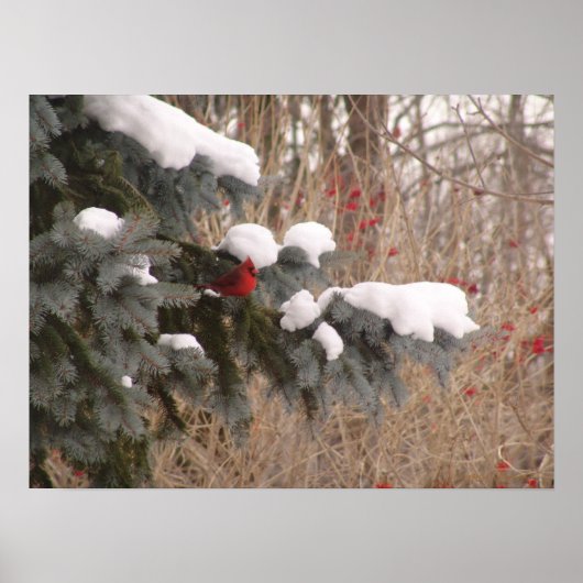 Jewel onder bomen poster (Voorkant)