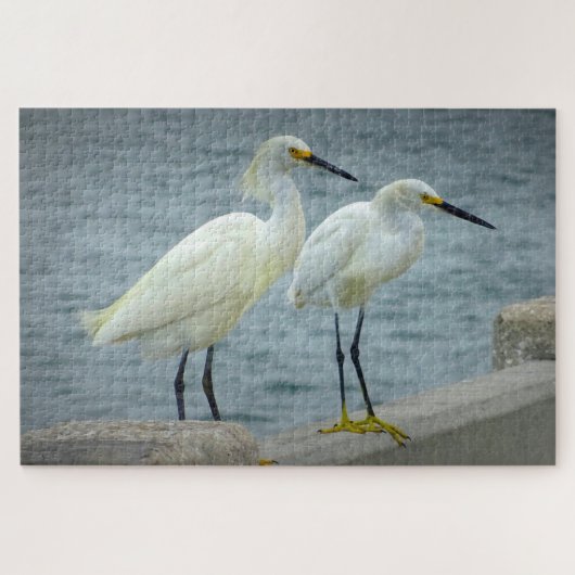 Jewelry Herons Florida Legpuzzel (Horizontaal)