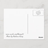 Jezus op het briefkaart (Achterkant)