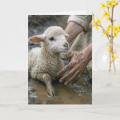 Jezus redt een lam kaart (Gele Bloem)