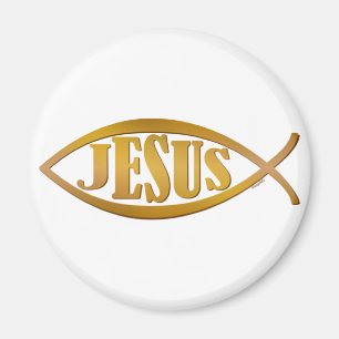 Jezus visje Christelijk cadeau Magneet