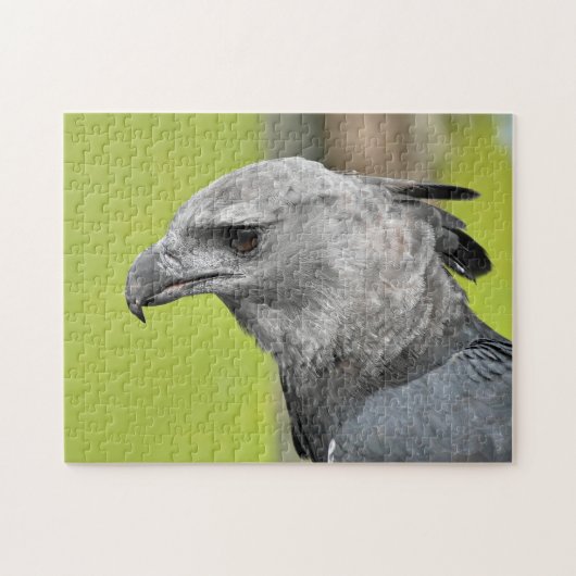 Jigsaw Jigsaw Jigsaw Puzzle (Horizontal)