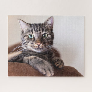 Jigsaw Puzzle