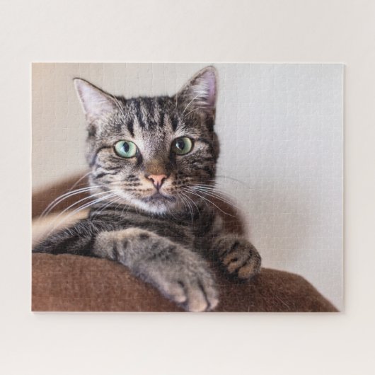 Jigsaw Puzzle (Horizontal)