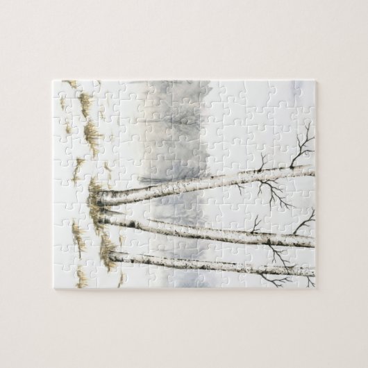 Jigsaw Puzzle (Horizontal)