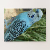 Jigsaw Puzzle (Horizontal)