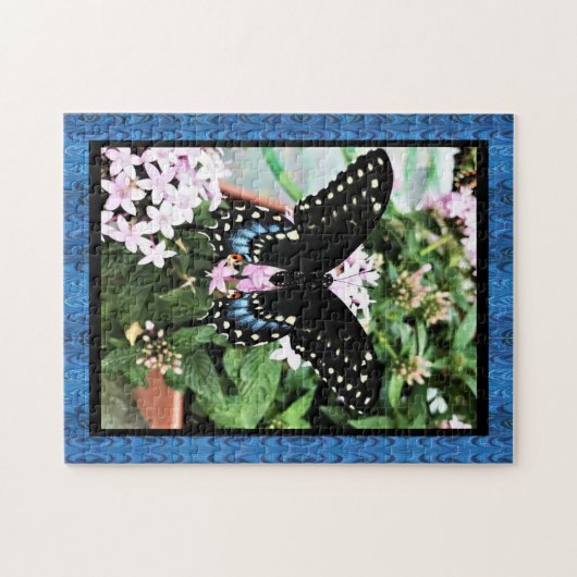 JIgsaw Puzzle Black Swallowtail (Horizontal)