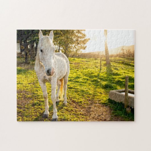 Jigsaw Puzzle du Cheval de l'Arabie Blanche (Horizontal)