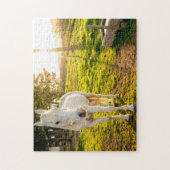 Jigsaw Puzzle du Cheval de l'Arabie Blanche (Vertical)