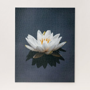 JIGSAW PUZZLE : LOTUS ON WAY