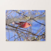 Jigsaw puzzle mâle nord Cardinal dans l'arbre (Horizontal)